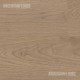 COREtec Advanced+ - Waverly Oak COREtec Advanced+ - Waverly Oak